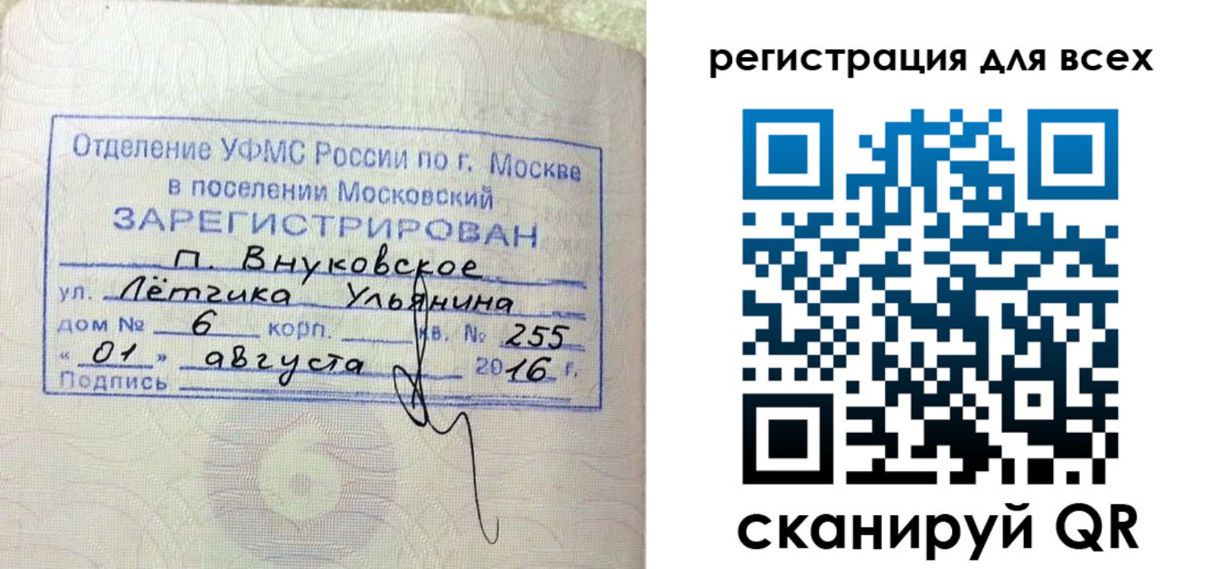 прописка 2025 в Сафоново